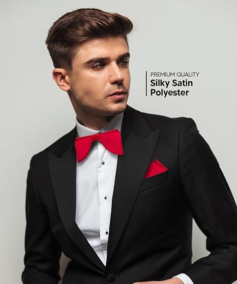 Vittorio Farina Men's Satin Teardrop Bow Tie &amp; Pocket Square in Gift Box