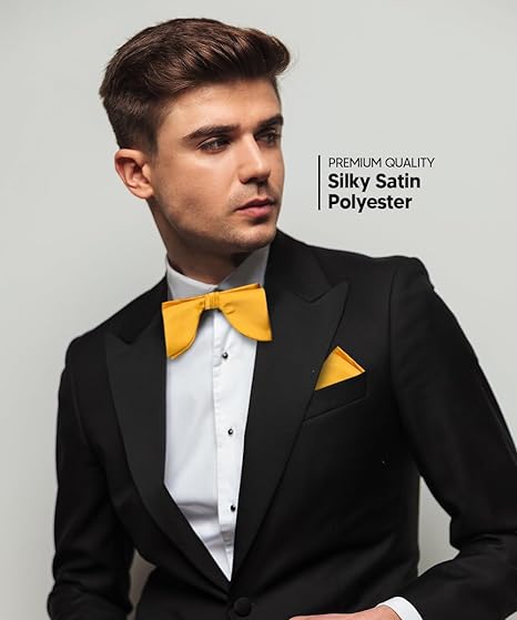 Vittorio Farina Men's Satin Teardrop Bow Tie &amp; Pocket Square in Gift Box