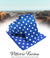 Vittorio Farina Men's Polka Dot Satin Necktie & Pocket Square