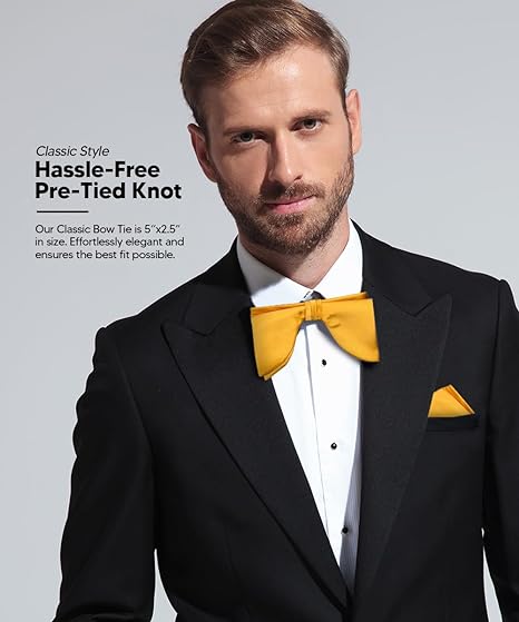 Vittorio Farina Men's Satin Teardrop Bow Tie &amp; Pocket Square in Gift Box