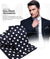 Vittorio Farina Men's Polka Dot Satin Necktie & Pocket Square