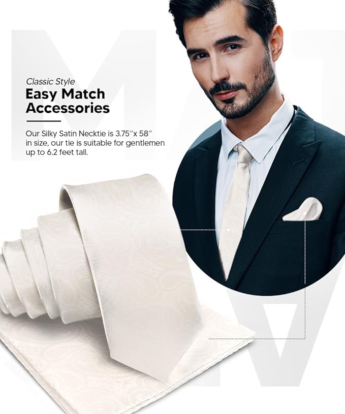 Vittorio Farina Men's Woven Paisley Necktie &amp; Pocket Square