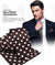 Vittorio Farina Men's Polka Dot Satin Necktie & Pocket Square