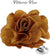 Vittorio Vico Unisex Satin Solid Flower Lapel Pin