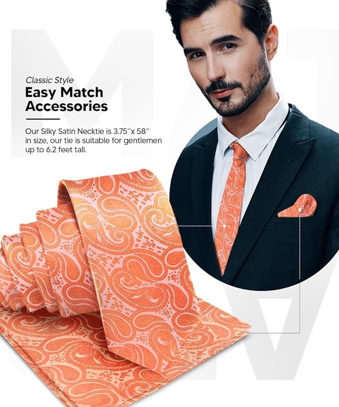 Vittorio Farina Men's Woven Paisley Necktie &amp; Pocket Square