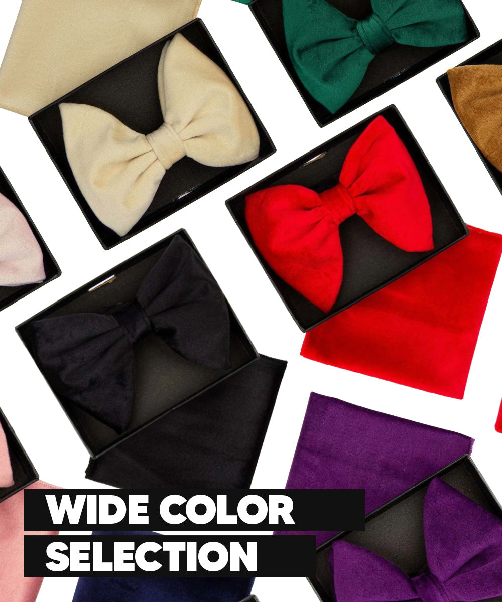 Vittorio Farina Men's Velvet Teardrop Bow Tie &amp; Pocket Square in Gift Box