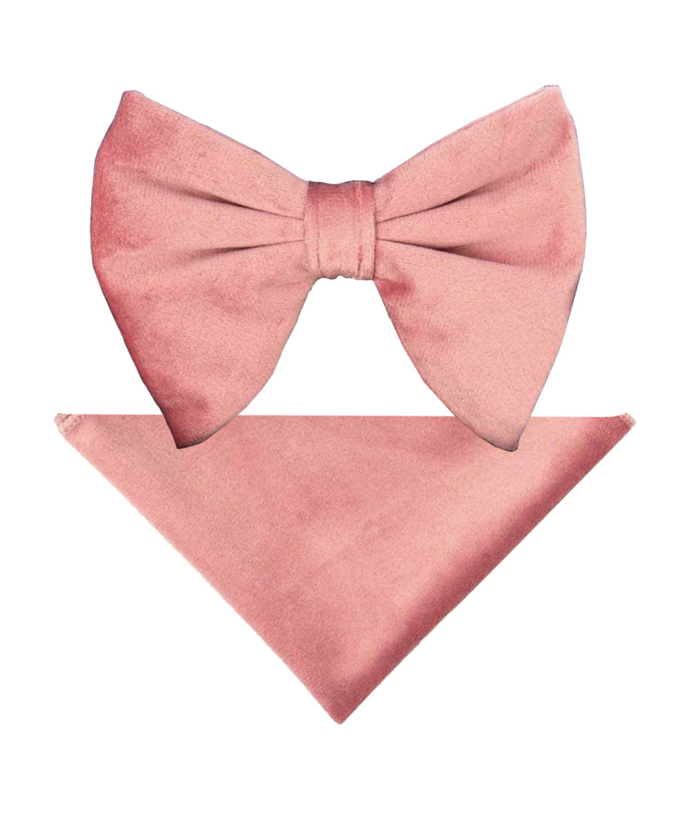 Vittorio Farina Men's Velvet Teardrop Bow Tie &amp; Pocket Square in Gift Box