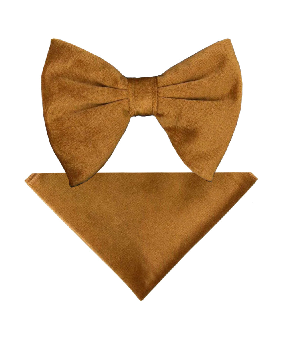 Vittorio Farina Men's Velvet Teardrop Bow Tie &amp; Pocket Square in Gift Box