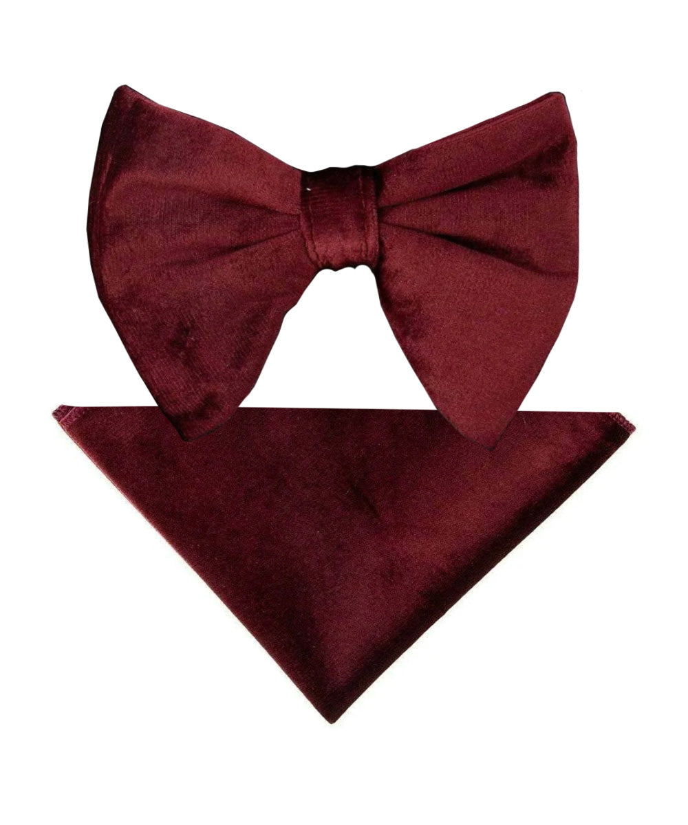 Vittorio Farina Men's Velvet Teardrop Bow Tie &amp; Pocket Square in Gift Box