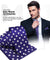 Vittorio Farina Men's Polka Dot Satin Necktie & Pocket Square