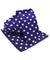 Vittorio Farina Men's Polka Dot Satin Necktie & Pocket Square