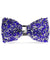 Vittorio Farina Men's Rhinestone Bow Tie in Gift Box
