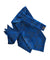 Vittorio Farina Men's Woven Pasiley Ascot & Pocket Square - ASCOTS - WP_ROYAL - Classy Cufflinks