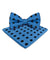 Vittorio Farina Men's Polka Dot Satin Bow Tie & Pocket Square in Gift Box - bh - 0019 - Classy Cufflinks