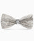 Vittorio Farina Men's Crystal Bow Tie in Gift Box - brs - 04 - Classy Cufflinks