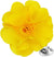 Vittorio Vico Men's Formal Solid Flower Lapel Pin: Flower Pin Suit Accessories Pins for Suit or Tuxedo - lapelsolid-03yellow - Classy Cufflinks