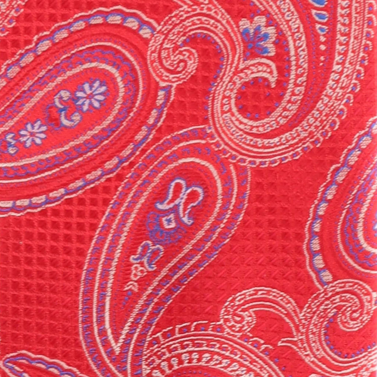 Vittorio Farina Paisley Designer Necktie &amp; Pocket Square - NH-D-1172 - Classy Cufflinks