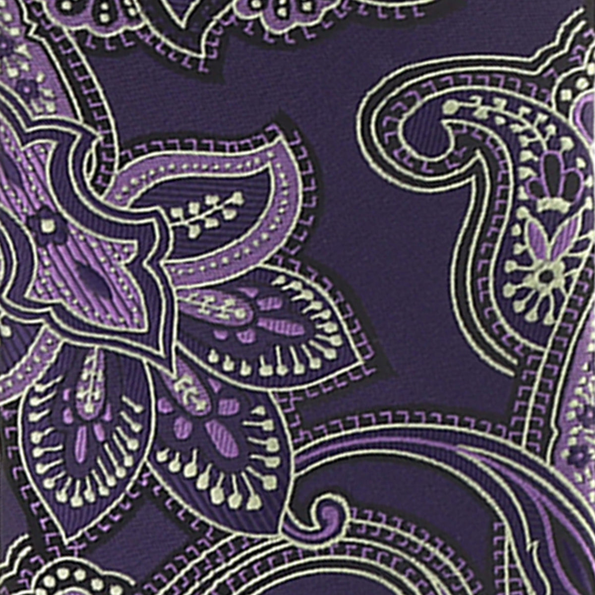 Vittorio Farina Paisley Designer Necktie &amp; Pocket Square - NH-D-1206 - Classy Cufflinks