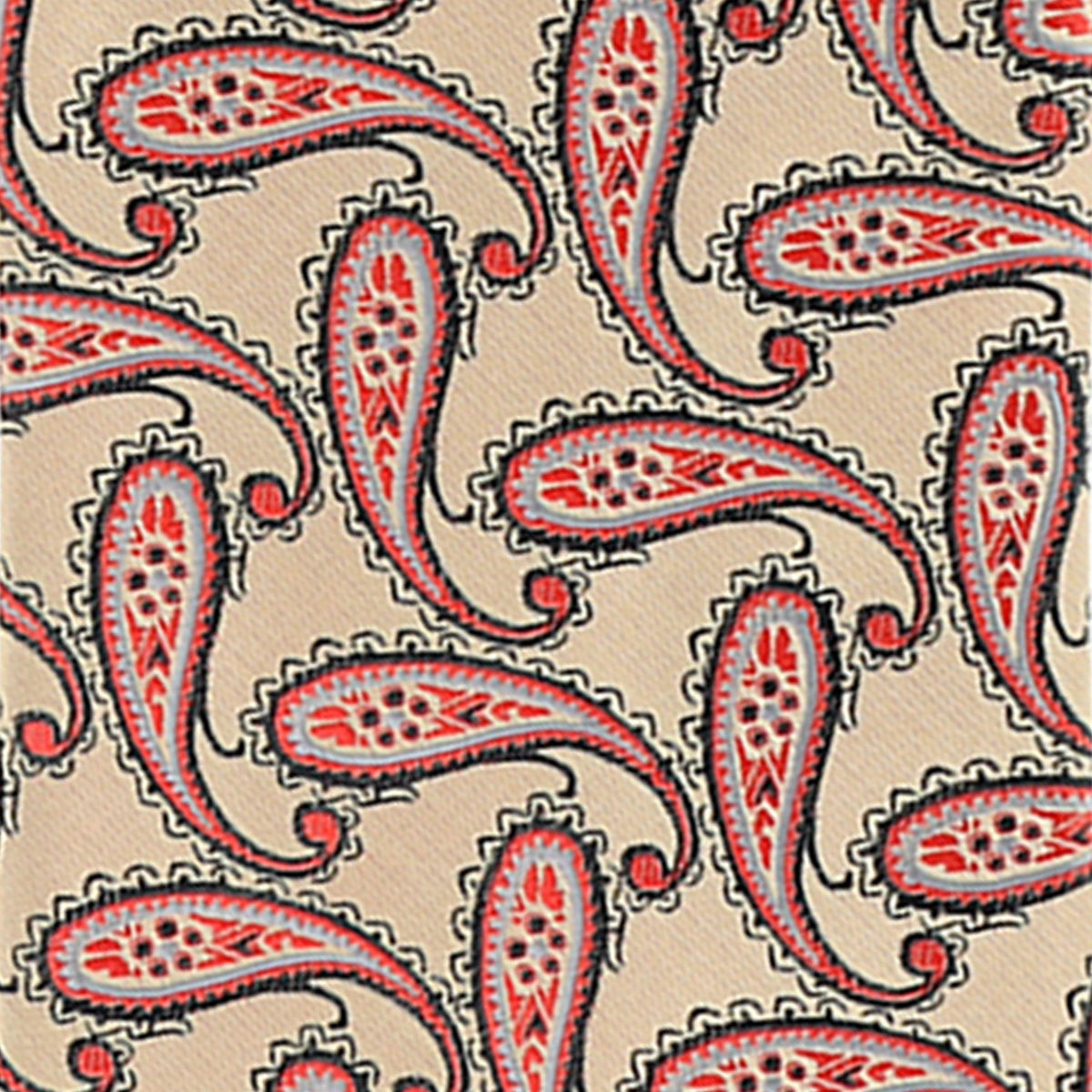 Vittorio Farina Paisley Designer Necktie &amp; Pocket Square - NH-D-1206 - Classy Cufflinks