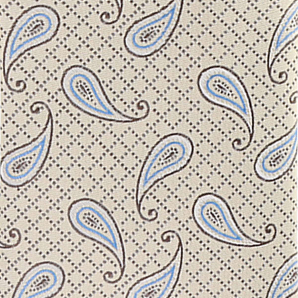 Vittorio Farina Paisley Designer Necktie &amp; Pocket Square - NH-D-1231 - Classy Cufflinks