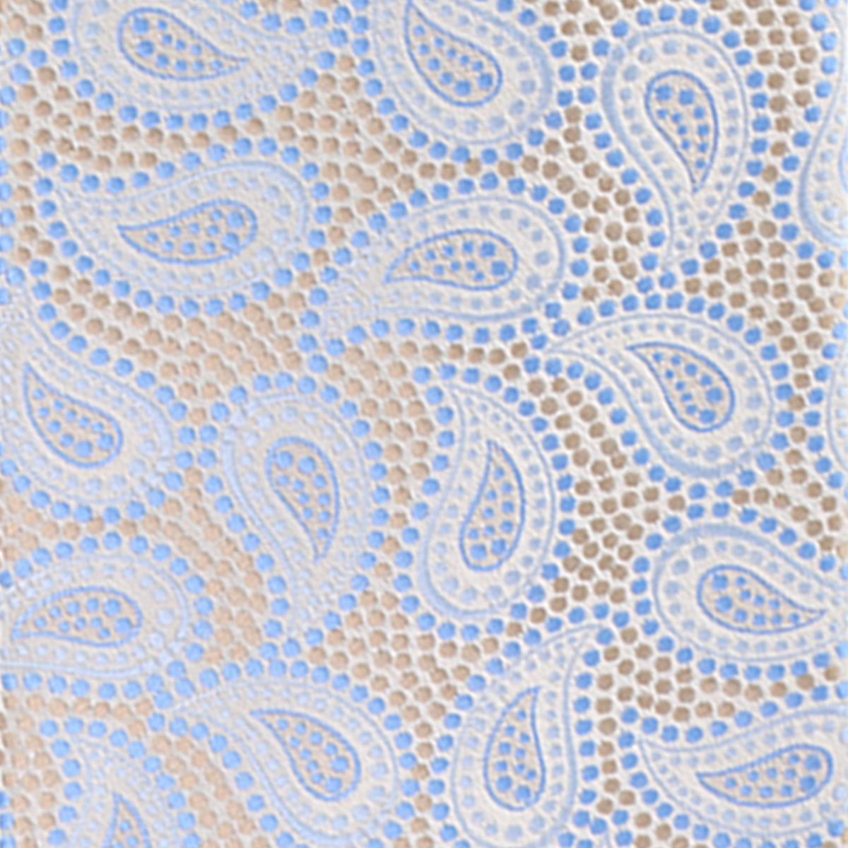 Vittorio Farina Paisley Designer Necktie &amp; Pocket Square - NH-D-1272 - Classy Cufflinks