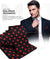 Vittorio Farina Polka Dot Necktie & Pocket Square - NH-PD_03_RED_BLACK - Classy Cufflinks
