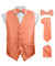 Vittorio Farina Men's Woven Paisley Vest, Necktie, Bow Tie and Pocket Square Set (Black Back) - vest_paisley_BB_rosegold_XS - Classy Cufflinks