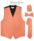 Vittorio Farina Men's Woven Paisley Vest, Necktie, Bow Tie and Pocket Square Set (Black Back) - vest_paisley_BB_rosegold_XS - Classy Cufflinks